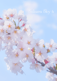 Sakura Sky 4