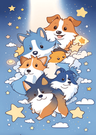 sheltie