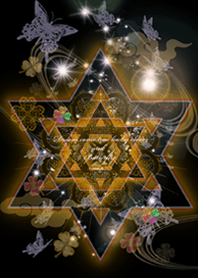 着替えを変えただけで幸運になる四葉蝶黒2