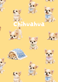 I love Chihuahuas01 brown & yellow JP