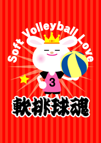 ★軟排球魂★ソフトバレーボール大好き