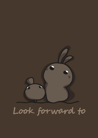 rabbit staring - Don't know