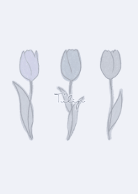 Tulip -  blue gray