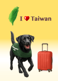 Labrador ! Quarantine dogs ! BK. 2