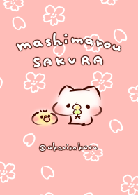 ましまろう着せ替え「桜」