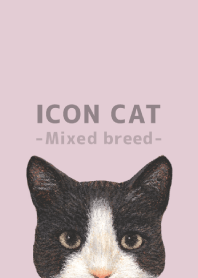 ICON CAT -Mixed breed cat- PASTEL PK/03