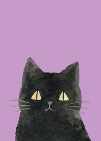 A unique cat05 light purple