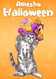 美國短毛貓@萬聖節2019