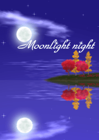 Moonlight night