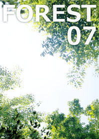 FOREST-森林07