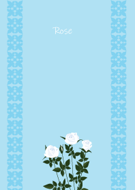 December's birth flower,White Rose
