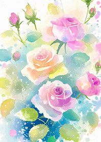 Beautiful rose flower(R4284)