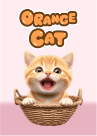Kucing Jingga Keberuntungan 4 Merah Muda