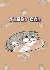 tabbycat10 / burly wood