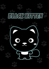Black Kitten in Black background