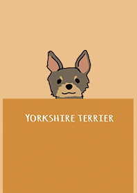 ส้ม: Yorkshire terrier