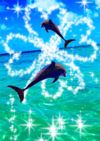 lucky dolphin shine