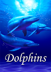 Dolphins（日本版）