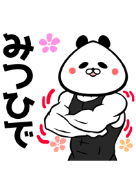 Mitsuhide Name Muscle Theme