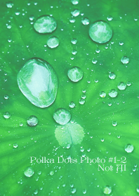 Polka Dots Photo#1-2Not AI