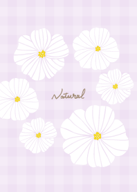 6 white flowers check8 from Japan