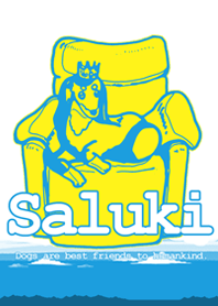 サルーキと青空