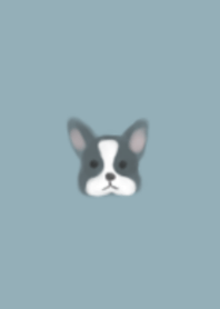 FRENCH BULL DOG (Black&white)/Dull blue