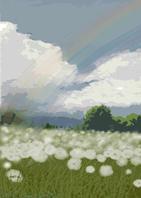 Dandelion flowers