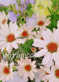 Healing botanical life12.