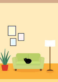 Cat on the sofa on B&Y