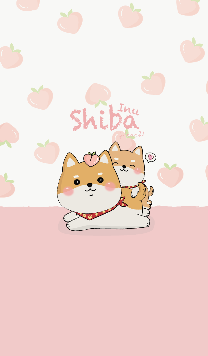 Shiba Inu Peach!