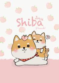 Shiba Inu Peach!