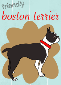 Always be with you! Boston Terrier2