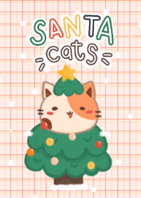 Santa cat : Christmas is coming