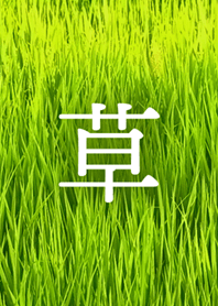 Green grass