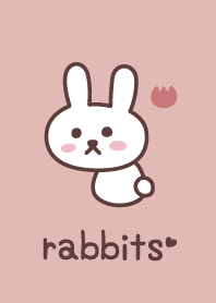 ふりむくうさぎ＊ピンク＊チューリップ