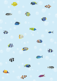 โลกใต้น้ำหลากสีสัน3