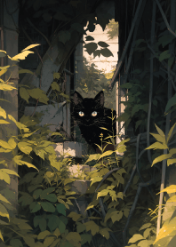 廢墟裡的可愛黑貓