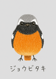 Soft Birds: Daurian Redstart