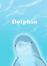 Dolphin*