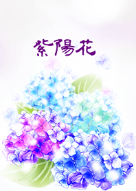 ー紫陽花ー