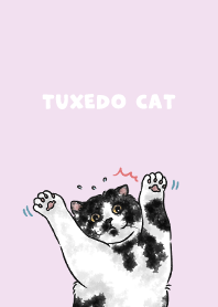tuxedocat2 - periwinkle
