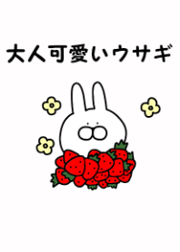 Adult pretty rabbit