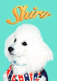 Shiro Vol.1