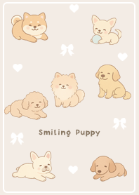 Friendly Dog-Dogs 01_1
