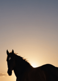 Auspicious Horse/Mystical Horse