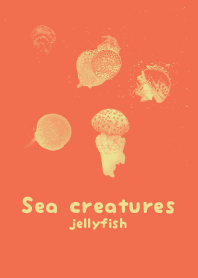 Sea crt Tiger Lily