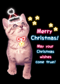 -- Christmas 2019 -- 1