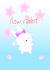 Slow Rabbit -spring ver.-