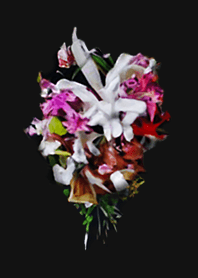 The flowers.E